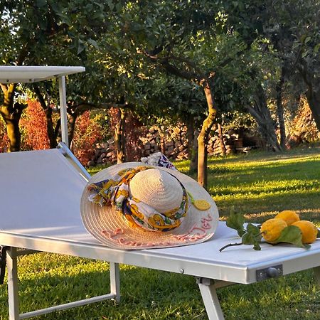 Lemon Factor Sorrento B&B 외부 사진