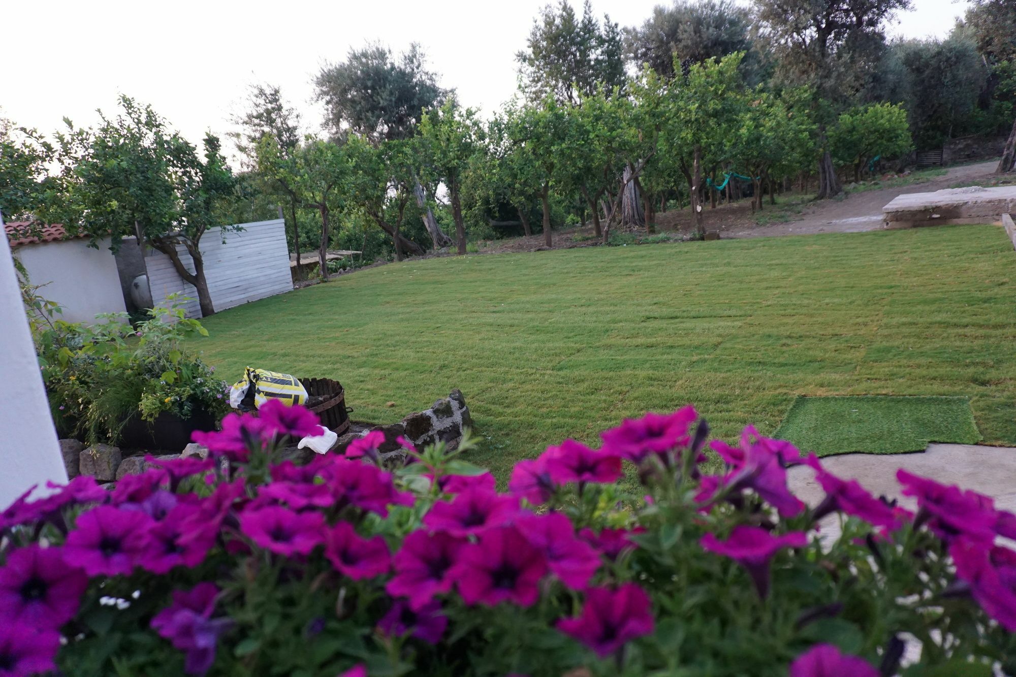 Lemon Factor Sorrento B&B 외부 사진