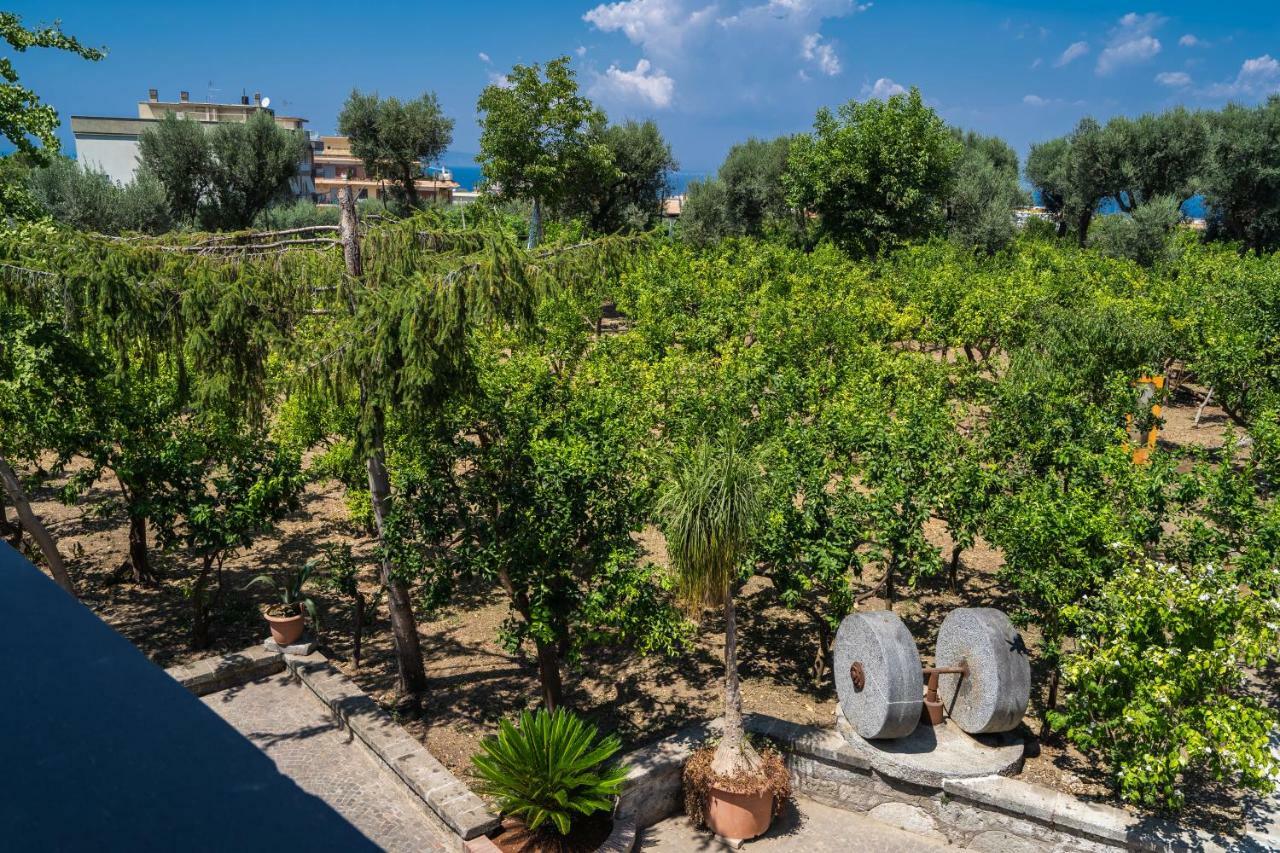 Lemon Factor Sorrento B&B 외부 사진