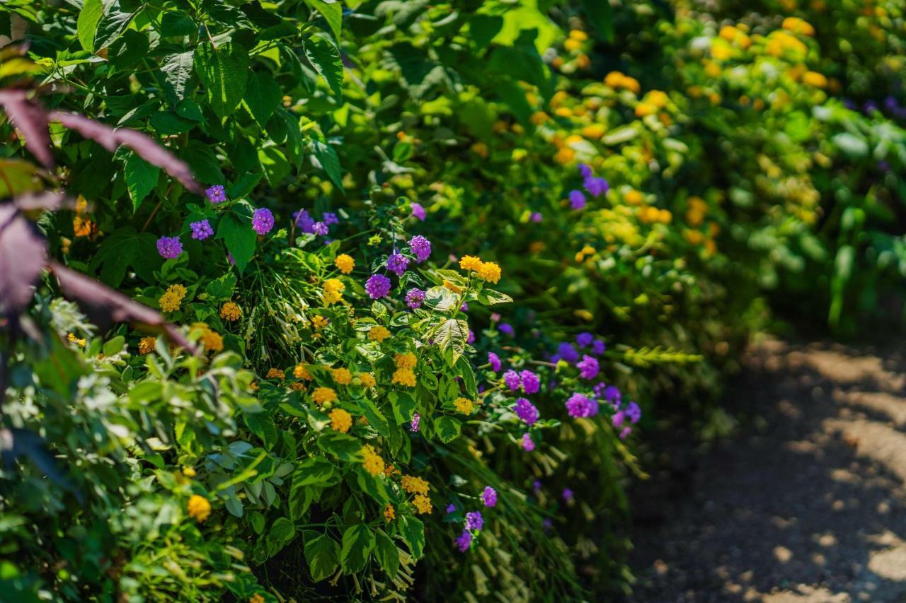 Lemon Factor Sorrento B&B 외부 사진